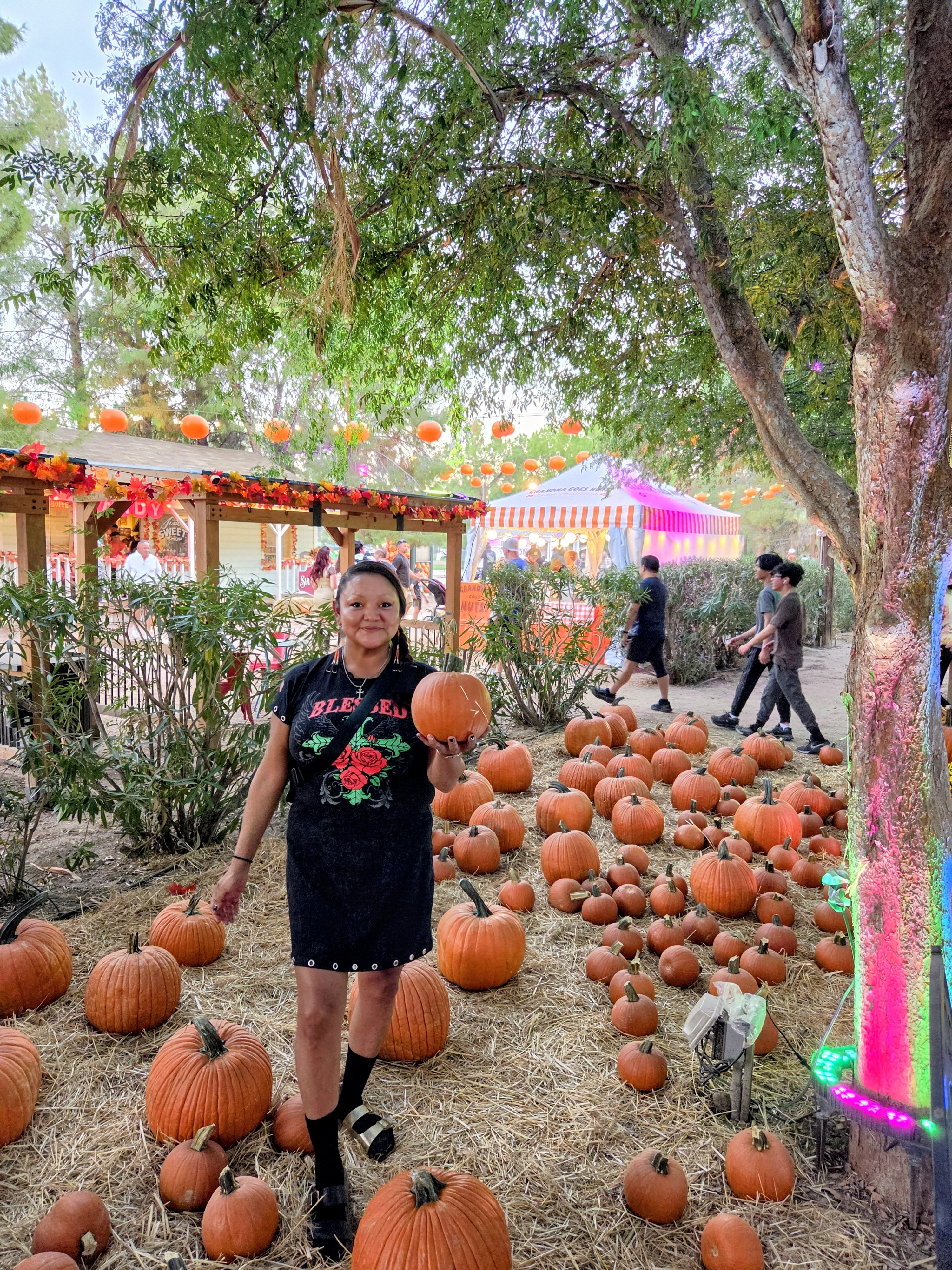 A person standing amongst a large patch of pumpkins, holding one in their hand. The scene is decorated with colorful lights and autumn-themed decorations.